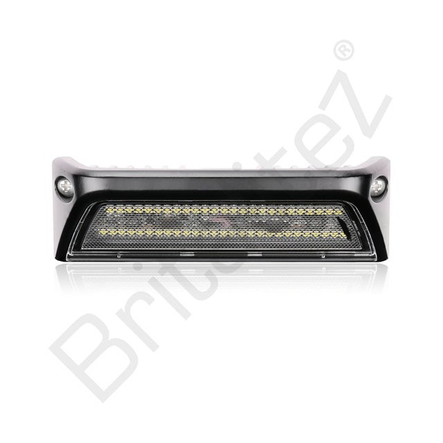 LED SCENE / AWNING LIGHT (R10) In White or Black